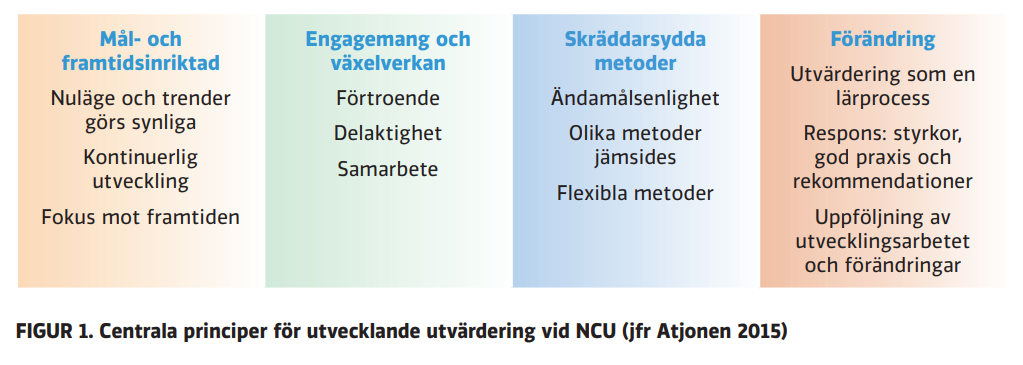 Centrala principer för utvecklande utvärdering vid NCU är mål- och framtidsinriktad, engagemang och växelverkan, skräddarsydda metoder, förändring. 