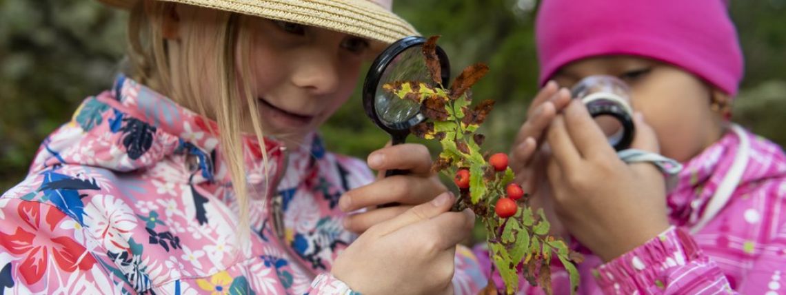 Kaksi lasta tutkailee suurennuslaseilla pihlajanmarjoja metsässä